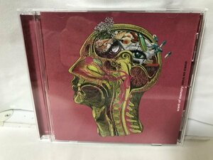 G22 SEKAI NO OWARI CD scent of memory