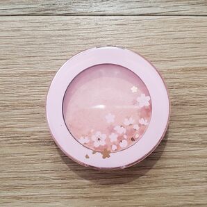 ETUDE HOUSE ピクニックブロッサムチーク BE101