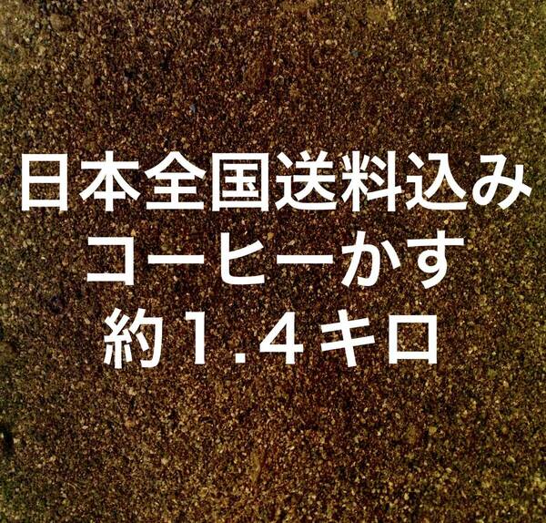 コーヒーかす　約１.４KG コーヒーカス 約 １．４キロ Coffee でがらし 出涸らし　１KG １キロ