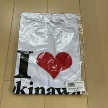 wenamie hanabi show Tシャツ_画像1