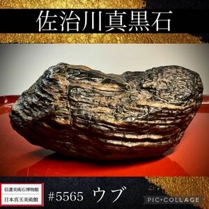 【信濃美術石博物館】 水石 盆栽 佐治川真黒石 ウブ 横16×高9×奥行12(cm) 1.8kg骨董盆石古美術鑑賞石観賞石太湖石中国古玩 5565