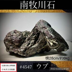 【春の大謝恩特売】 水石 盆栽 南牧川石 ウブ 横28×高14(cm) 6.94kg 骨董盆石古美術鑑賞石観賞石太湖石中国古玩4547