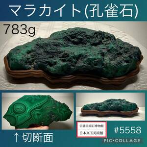 【信濃美術石博物館】 マラカイト 孔雀石 原石 魔よけ 横19×高5×奥行9(cm)783g 水石盆栽骨董鑑賞石観賞石鉱物パワーストーン 天然石5558