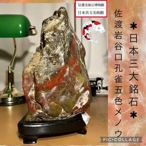 【信濃美術石博物館】 水石 盆栽 佐渡岩谷口孔雀五色メノウ 横19×高28×奥行18(cm) 5kg 佐渡赤玉石 赤石 骨董盆石鑑賞石観賞石太湖石4469