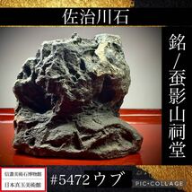 【信濃美術石博物館】 水石 盆栽 佐治川石 ウブ 横13×高12(cm)1.48kg骨董盆石古美術鑑賞石観賞石太湖石中国古玩 5472_画像1