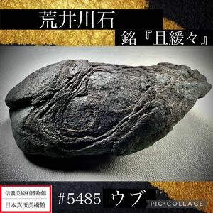 【春の大謝恩特売】 水石 盆栽 荒井川石 『且緩々』 玄人好み 横22×高6×奥行22.5(cm) 2.58kg 骨董盆石古美術鑑賞石観賞石太湖石4723