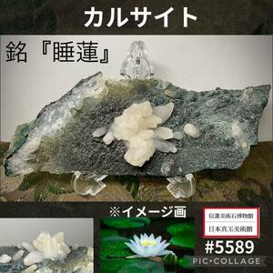 【信濃美術石博物館】カルサイト 銘『睡蓮』花 原石 横18.5×高6.5×厚み3(cm)305g 鉱物標本パワーストーン天然石水石盆栽鑑賞石観賞石5589