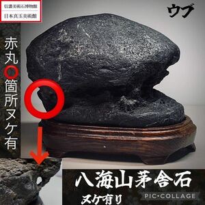 【信濃美術石博物館】 水石 盆栽 八海山石 茅舎石 ウブ ヌケ有 横17×高15×奥行15(cm)4.8kg骨董盆石古美術鑑賞石観賞石太湖石中国古玩5385