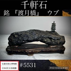 【春の大謝恩特売】水石 盆栽 千軒石 ウブ 銘『渡月橋』 横14×高5×奥行6(cm) 420g骨董盆石古美術鑑賞石観賞石太湖石中国古玩 5531