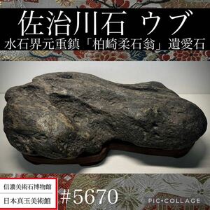 【春の大謝恩特売】 水石 盆栽 佐治川石 ウブ 柏崎柔石翁 遺愛石 横25.5×高9(cm)4.22kg骨董盆石古美術鑑賞石観賞石太湖石中国古玩 5670