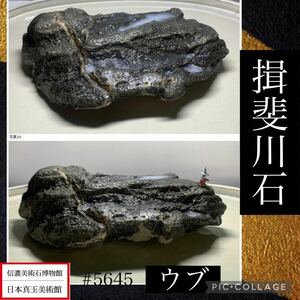 【春の大謝恩特売】 水石 盆栽 揖斐川石 ウブ 溜まり石 横25×高7×奥行15(cm) 2.94kg 骨董盆石古美術鑑賞石観賞石太湖石中国古玩2123