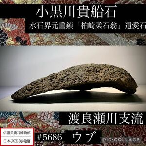 《GW感謝祭》 水石 盆栽 渡良瀬川支流の小黒川貴船石 ウブ 「柏崎柔石翁」遺愛石 横33(cm) 4.16kg骨董盆石古美術鑑賞石観賞石5686