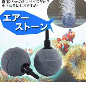エアーストーン 50個セット 水槽 直径20mm 4mm エアーポンプ メダカ エアストーン 熱帯魚 メダカ 酸素