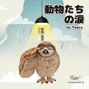 【超特価!!】台湾★即決♪ 正規品!! YENDAR（研達） 朝隈俊男 ANIMAL LIFE 動物たちの涙 In Tears フクロウ♪