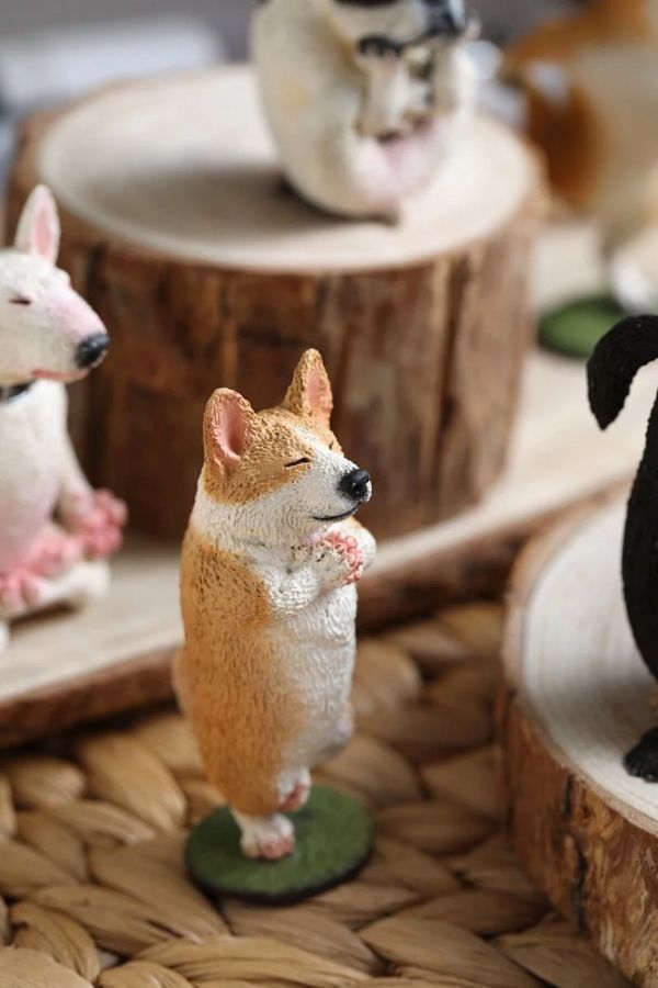 2025年最新】Yahoo!オークション -朝隈俊男犬(生き物)の中古品 2025年最新】Yahoo!オークション -朝隈俊男犬(生き物)の中古品