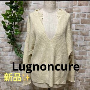 感謝sale 663 新品　Lugnoncure② ゆったり＆可愛いトップス　深Vネックプルオーバー