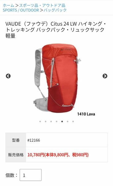 VAUDE　 バックパック（登山用リュック）24l