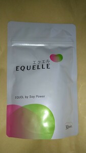 120粒 大塚製薬 エクエル パウチタイプ エクオール EQUELLE