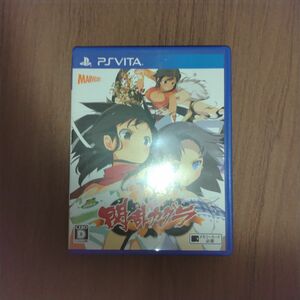 Vita ソフト閃乱カグラ SHINOVI VERSUS -少女達の証明　デカ盛り 閃乱カグラ　2本セット　