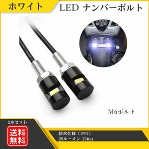 LED ボルト ナンバーボルトLED ナンバー灯 ナンバーライト ライセンスプレート灯 汎用 白 ホワイト テールライト 2個 セット Y20228U