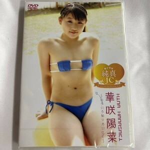 ★特価品☆ 【DVD】 華咲陽菜 美少女は純真 / LittlePrincess 正規品 新品 アイドル イメージ