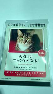 人生はニャンとかなる！2024年カレンダー