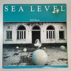 29458★良盤【US盤】 Sea Level / Ball Room ※STERLING刻印有