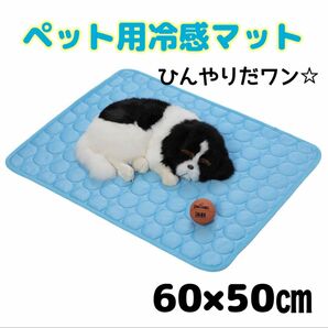 【新品】ペット用 ひんやり 接触冷感 マット 60×50㎝　ブルー　犬猫　小動物　洗濯可能　 ひんやりマット