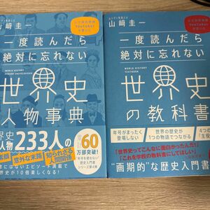 一度読んだら絶対に忘れない世界史の教科書　公立高校教師ＹｏｕＴｕｂｅｒが書いた 山崎圭一／著