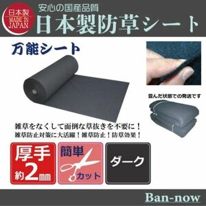 （②ダーク 153ｃｍ×10ｍ）厚手 雑草防止 除草 Ban-now 万能 防根 防草シート (9)