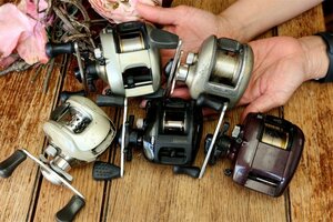 ZEBCO QUANTUM 5台セット検) ABU 2500C サイズ 道楽 ハトリーズ BALSA50 ZEAL ザウルス HEDDON FENWICK SHIMANO シマノ ダイワ ロッドに