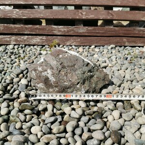万天石3.3キロ　ADA水槽アクアリウム鑑賞石石置物オブジェインテリア砂利