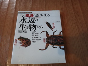 専門書　カラー図鑑　今、絶滅の恐れがある水辺の生き物たち　山と渓谷社