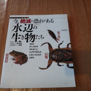 専門書 カラー図鑑 今、絶滅の恐れがある水辺の生き物たち 山と渓谷社の画像1