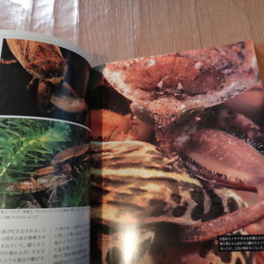 専門書 カラー図鑑 今、絶滅の恐れがある水辺の生き物たち 山と渓谷社の画像3