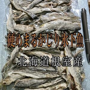 珍味 硬めまるかじり氷下魚（こまい）北海道根室産　別名：寒海（かんかい）