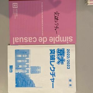 京大突破レクチャー　授業ノート付き　松永光雄　松本孝子　石川正明　高井隼人