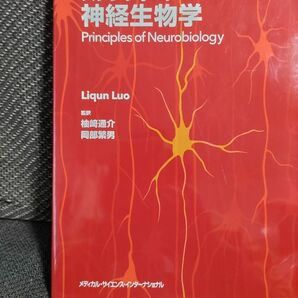 スタンフォード神経生物学 リチェン　ルオ／著　柚崎通介／監訳　岡部繁男／監訳