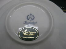 未使用 Thuringian Porcelain チュウ―リンゲン洋皿5枚 中皿1枚 *36313_画像8