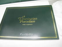 未使用 Thuringian Porcelain チュウ―リンゲン洋皿5枚 中皿1枚 *36313_画像5