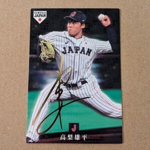 プロ野球チップスカード 2019Calbee SJ-07 高梨雄平