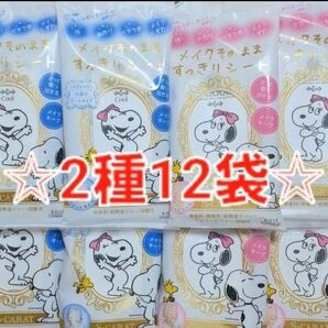 エスカラット メイクそのまま すっきりシート 顔用 無香料 シトラスマリンの香り 2種12袋