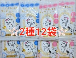 エスカラット メイクそのまますっきりシート 顔用 無香料 シトラスマリンの香り 2種12袋