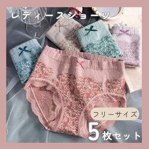 ショーツ レディース パンツ 深め まとめ売り 5枚セット 温活 あったか　5色　下着　深履き　美尻　ストレッチ　フリーサイズ