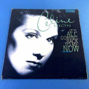 【HOUSE】Celine Dion* - It's All Coming Back To Me Now / 550 Music 46 78377 / VINYL 12 / US / F