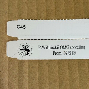 C45 P.Willinckii O.M.G sporeling スポア 呉旻修さん公認 ビカクシダ 証明タグ付きの画像5