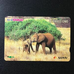 南海/2000年度発売開始柄ー動物「ゾウ　親子」ーコンパスカード(使用済/スルッとKANSAI)