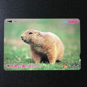 南海/2002年度発売開始柄ーみさき公園の動物たち「プレイリードッグ」ーコンパスカード(使用済/スルッとKANSAI)