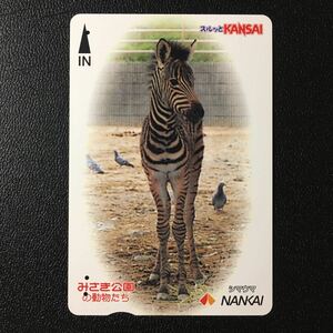 南海/2002年度発売開始柄ーみさき公園の動物たち「シマウマ」ーコンパスカード(使用済/スルッとKANSAI)