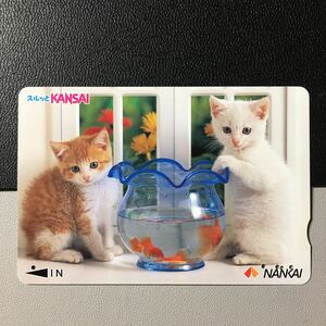 南海/2002年度発売開始柄ー動物「猫　金魚鉢」ーコンパスカード(使用済/スルッとKANSAI)